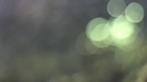 Aquarium blurred background with boke Video stock 54113146