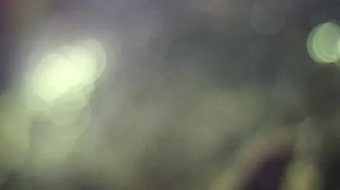 Aquarium blurred background Video stock 54113269