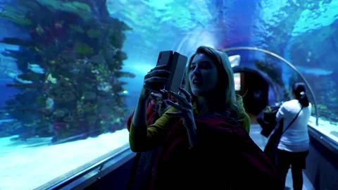Aquarium in Budapest, Hungary Stock Footage 239365696