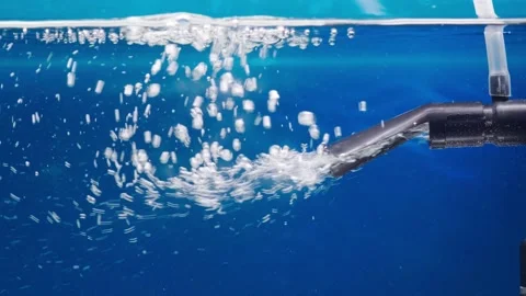 Aquarium compressor in the water Stock Footage 146816114