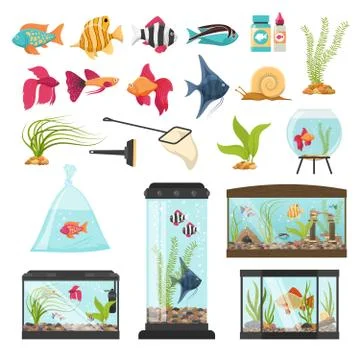 Aquarium Essential Elements Collection Illustrazione stock