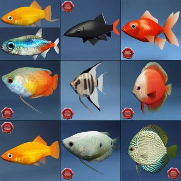 Aquarium Fish Collection ~ 3D Model #91389912 | Pond5