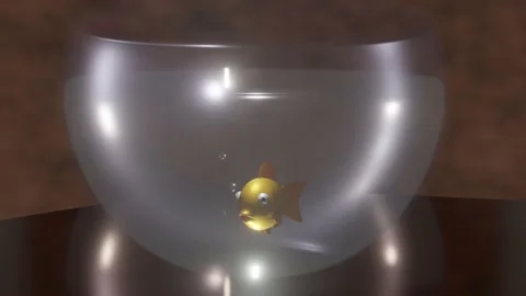Aquarium Fish Stock Footage 229412096