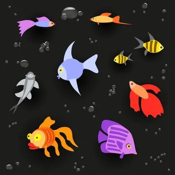 Aquarium fish set on dark background Stock Illustration