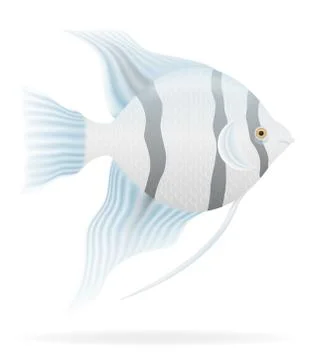Aquarium fish vector illustration Stock Illustration