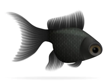 Aquarium fish vector illustration Stock Illustration