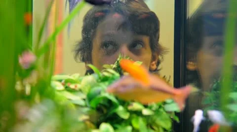 Aquarium Stock Footage 9058539