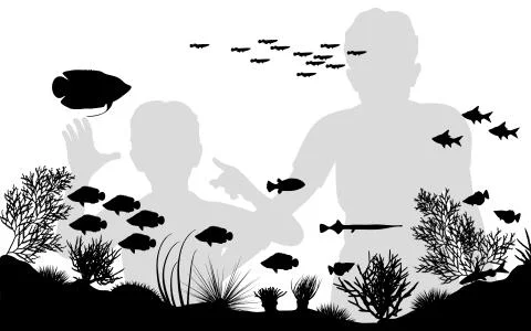 Aquarium Stock Illustration