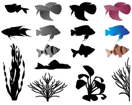 Aquarium Illustrazione stock