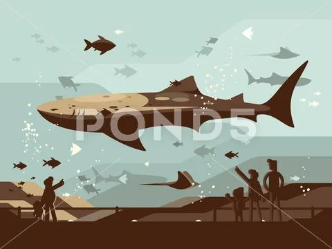 Aquarium with large marine fishes Stock Illustration