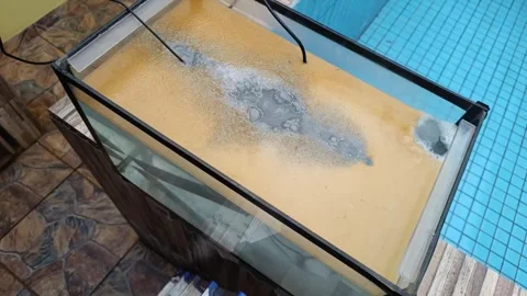 Aquarium with machete undergoing electrolysis process Stock Footage 252241431