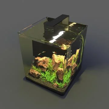 Aquarium Nano 3D Model