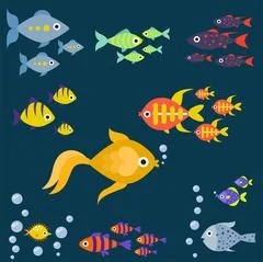 Guppy fish aquarium water animal nature and vector underwater aquatic art.  Tr Illustration #201296724
