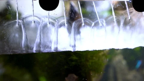Aquarium river, bubbles, lily pipe Stock Footage 114922736