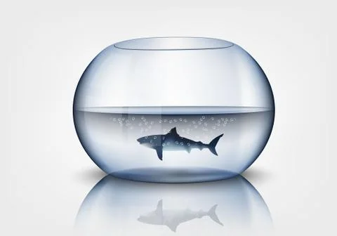 Aquarium with shark Stock Illustration