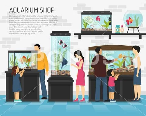 Aquarium Shop Illustration Stock Illustration