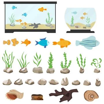 Aquarium underwater vector elements isolated on white background. 스톡 일러스트