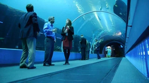 Aquarium walk through Vídeos de archivo 89225433