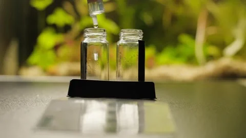 Aquarium water testing. Analysis of aquarium water. capella test Stock Footage 302243943