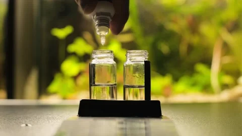 Aquarium water testing. Analysis of aquarium water. capella test Stock Footage 302244142
