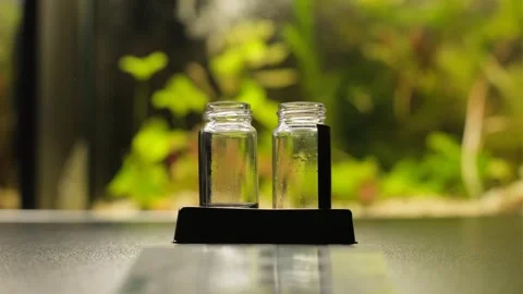 Aquarium water testing. Analysis of aquarium water. capella test Stock Footage 302244302