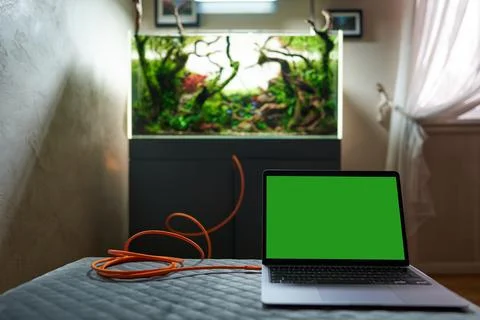 Aquascape connected by wire to computer Stock Photos
