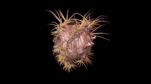 Aquatic alien life . Camera orbit. 3d animation Stock-Footage 89156601