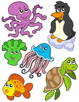 Aquatic animals collection  Stock Illustration