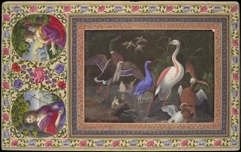 "Aquatic Birds at a Pool", Folio from the Davis Album late 17th or early 18.. Stock Photos