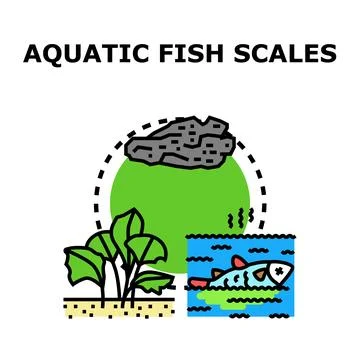 Aquatic ecosystem components including fish and plants Stock Illustration
