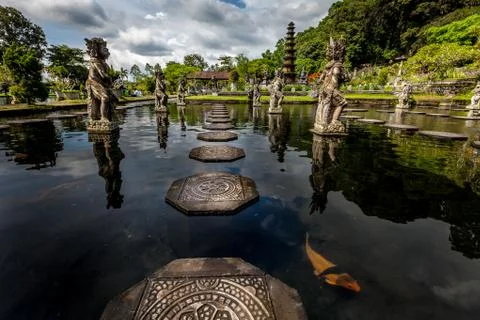 Aquatic pathway Stock Photos