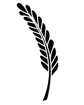 Aquatic plant leaf, seaweed - vector silhouette image for stencil, logo, Stock Illustration