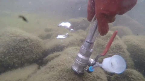 Aquatic sampling underwatershot Stock Footage 68160801