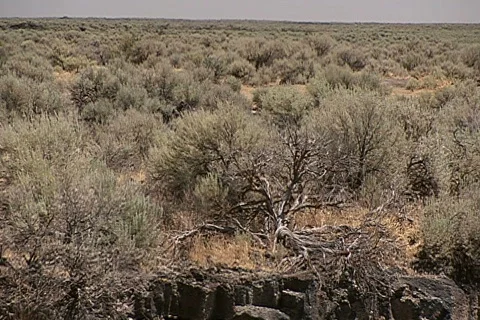 Aqueduct 2 库存影片 333172