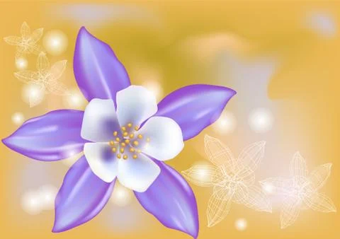 Aquilegia Stock Illustration