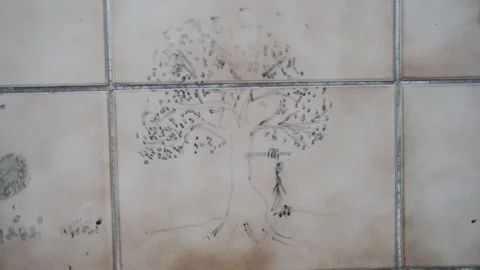 ARA 7752 42 Video stock 147559534