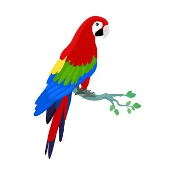Ara Parrot Flat Design Vector Illustration イラスト素材