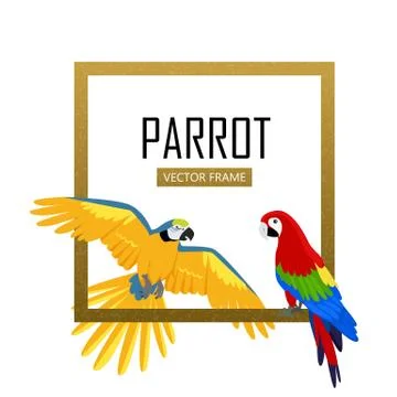 Ara Parrot Flat Design Vector Illustration 스톡 일러스트