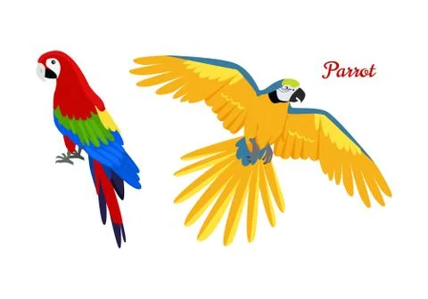 Ara parrot flat design vector illustration 스톡 일러스트