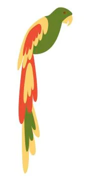 Ara parrot vector Stock Illustration