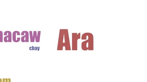 Ara Word Cloud Animated Isolated On White Video stock 103669394
