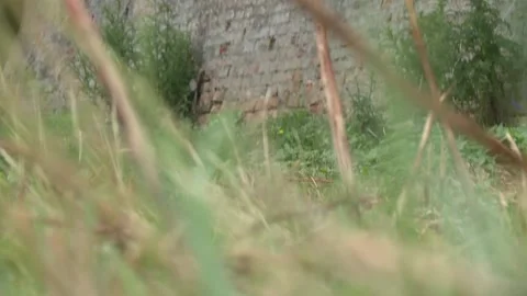 Arab assassin attack Stock Footage 140598215