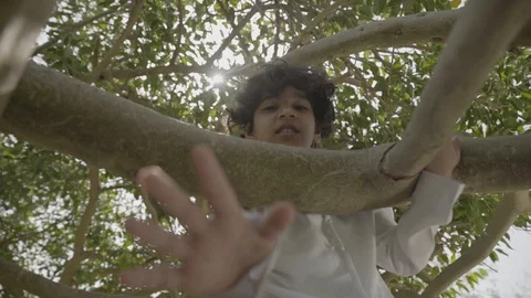 Arab boy sitting in tree. Stock Footage 105777428