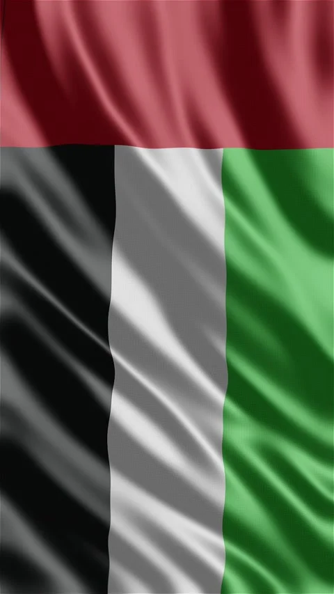 Arab emirates waving flag Stock Footage 288004055
