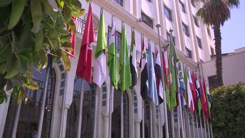 The Arab League  Video stock 253896292