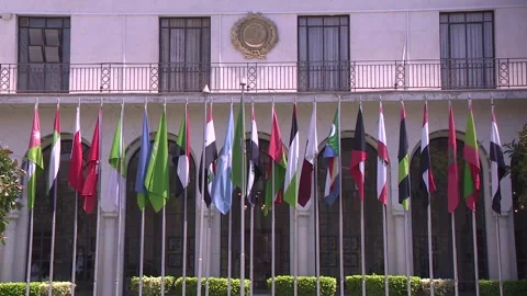 The Arab League Video stock 253896959