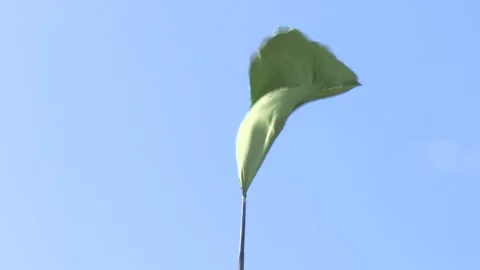 The Arab League Video stock 253897060