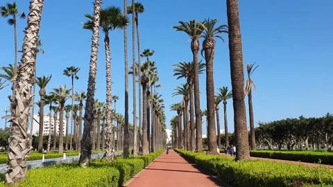 The Arab League Park (Parc de la Ligue arabe ) is an urban park in Casablanca, M Stock Footage 201218281