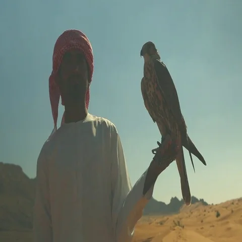 Arab man with falcon perching on his hand at desert. Stock Footage 69482751