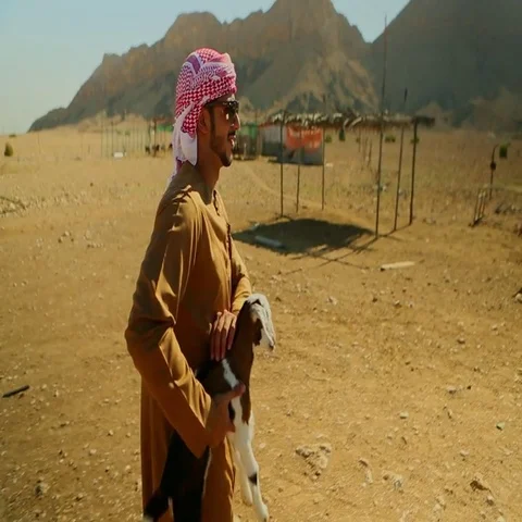 Arab man with goat on desert. Stock Footage 69480832